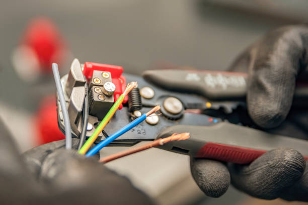 Best Electrical System Inspection  in Winnebago, MN