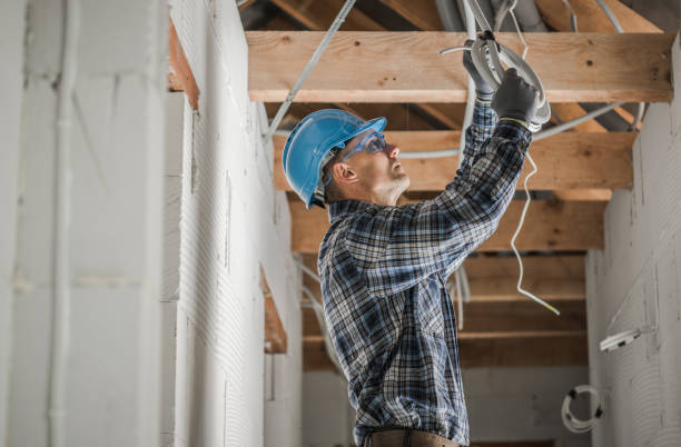 Best Affordable Electrician  in Winnebago, MN
