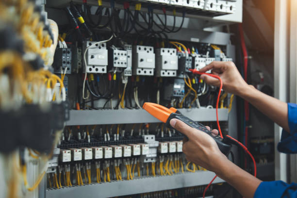Best Ceiling Fan Installation Electrician  in Winnebago, MN