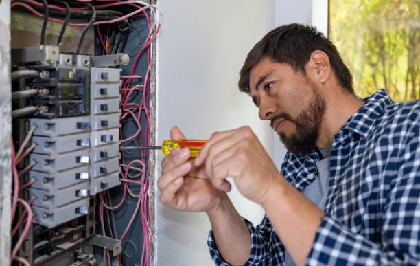 Best Industrial Electrical Services  in Winnebago, MN